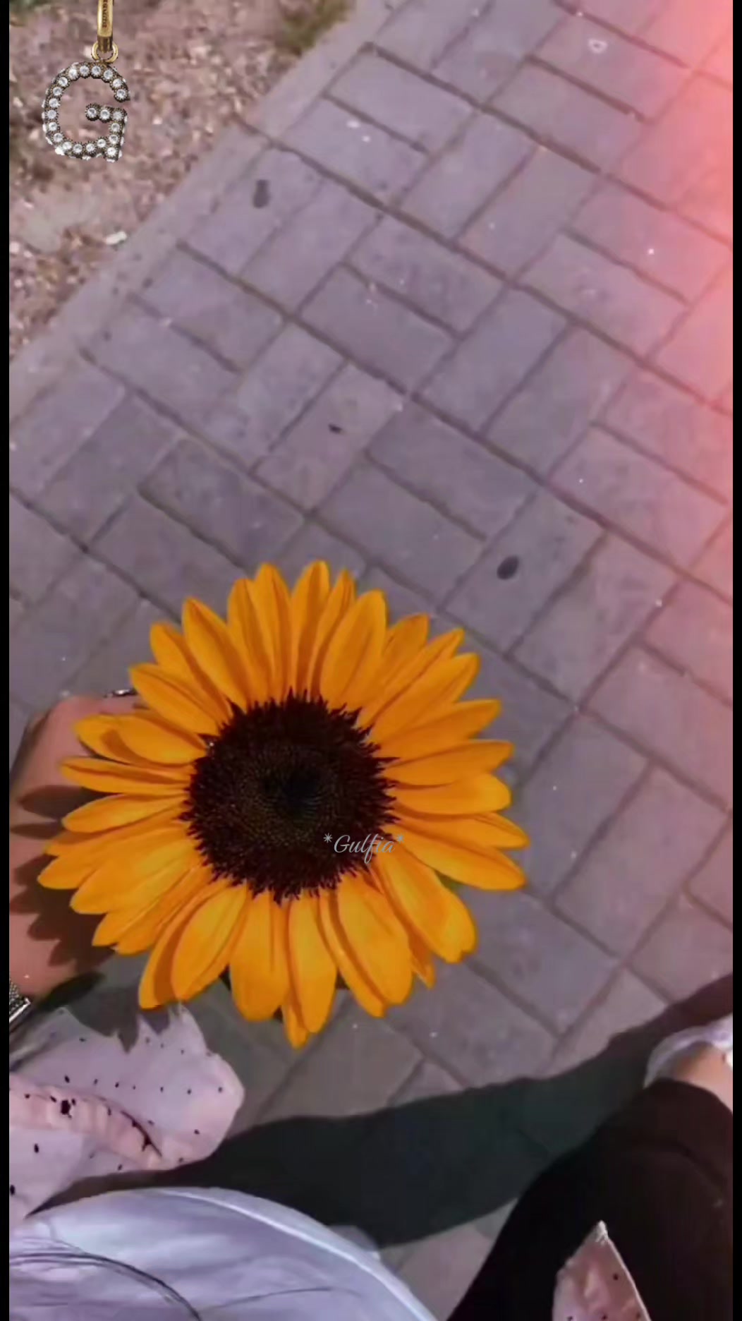 @Гульфия