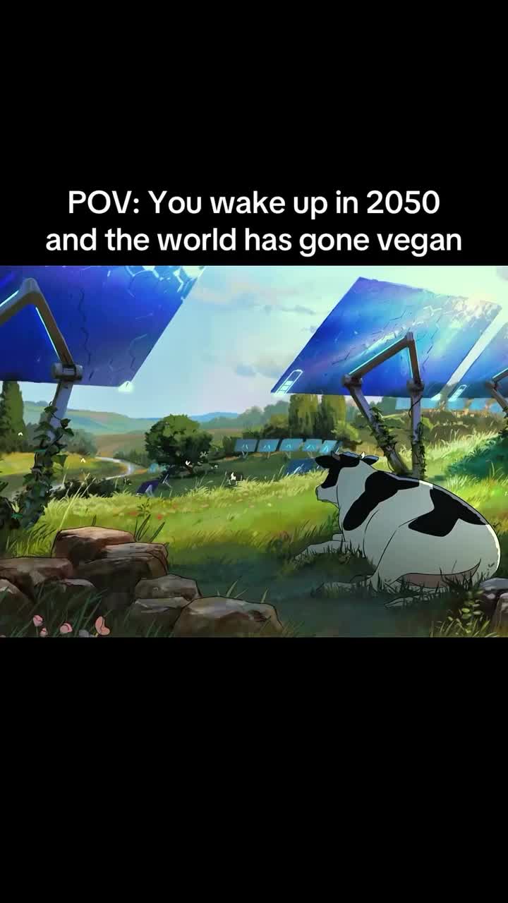 @richabraham369
