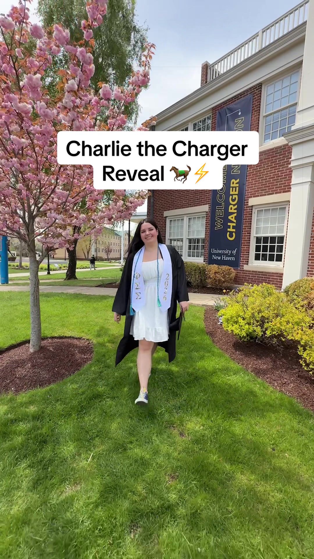 @University of New Haven