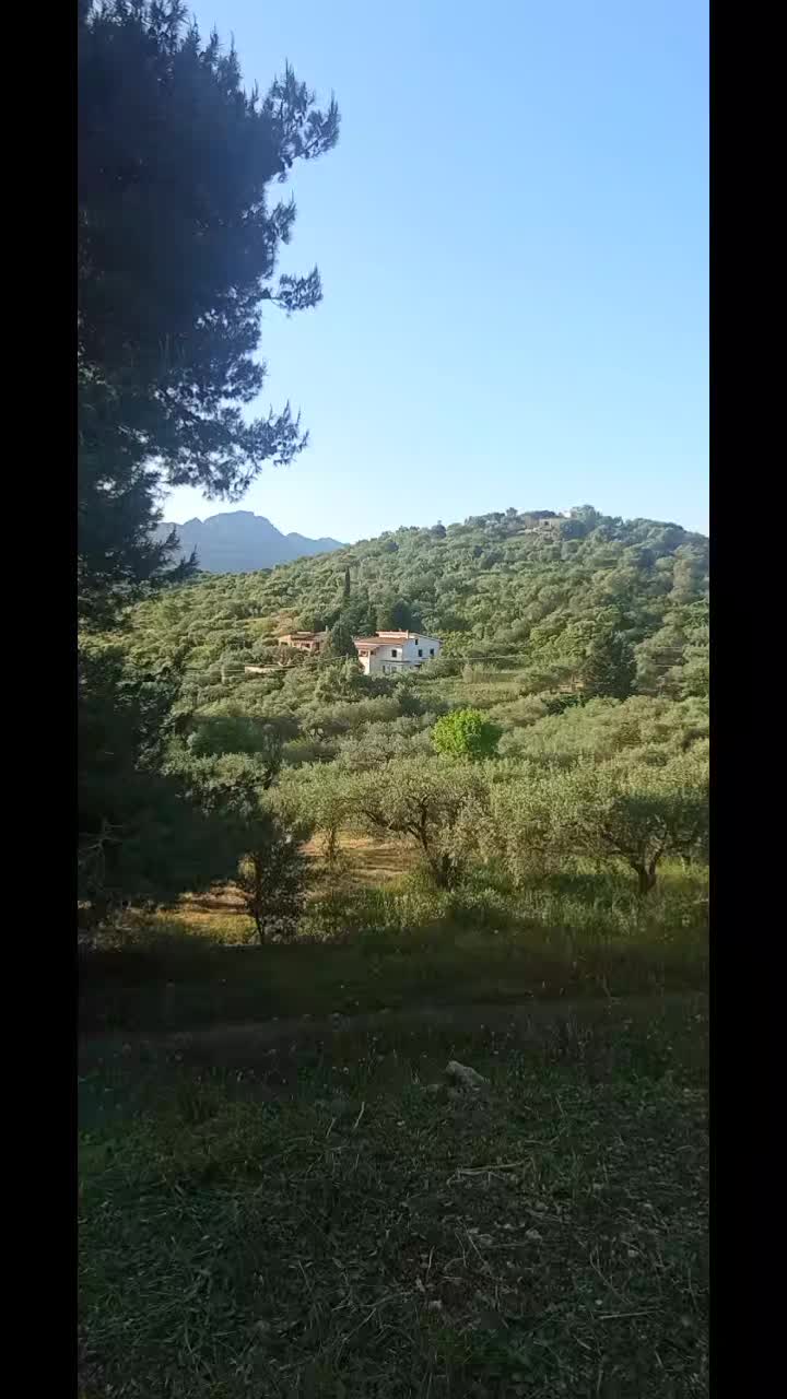 @la_barca_dellanima