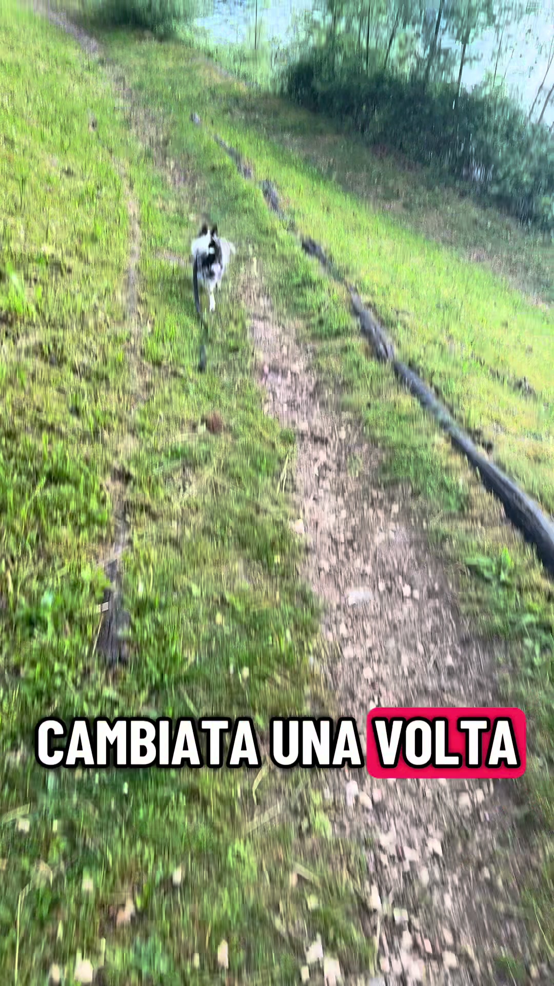 @Giuly