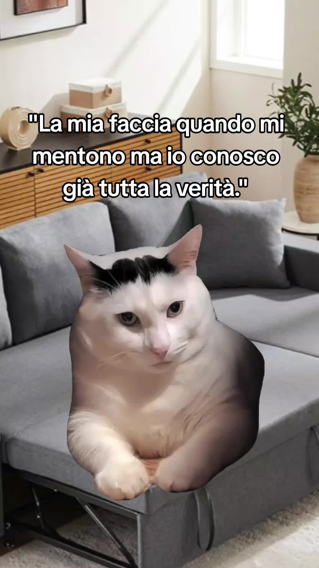 @Stefano Cr80
