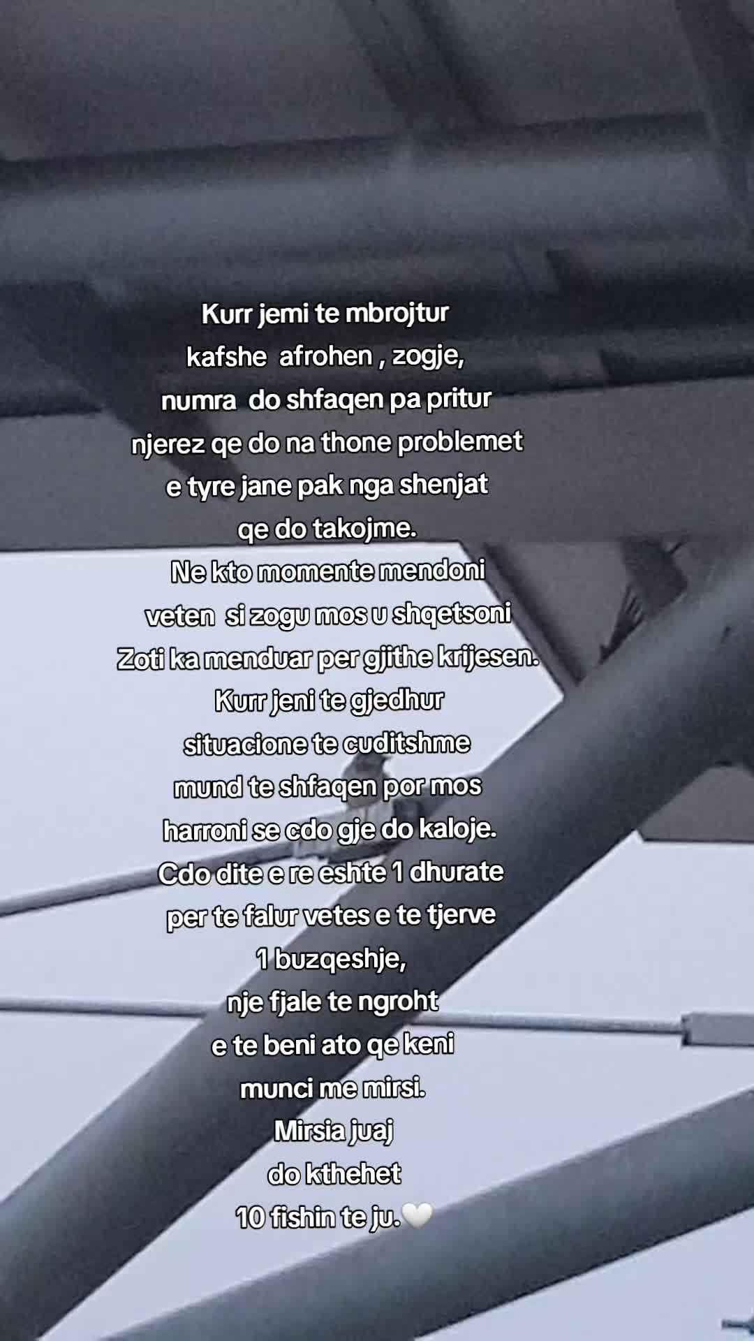 @Tina Metani 01144