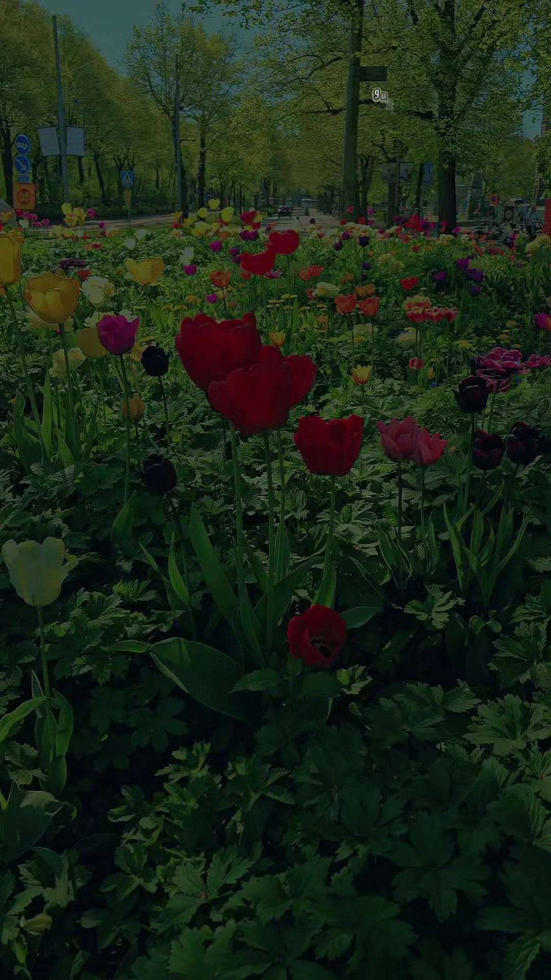 @gustinee28