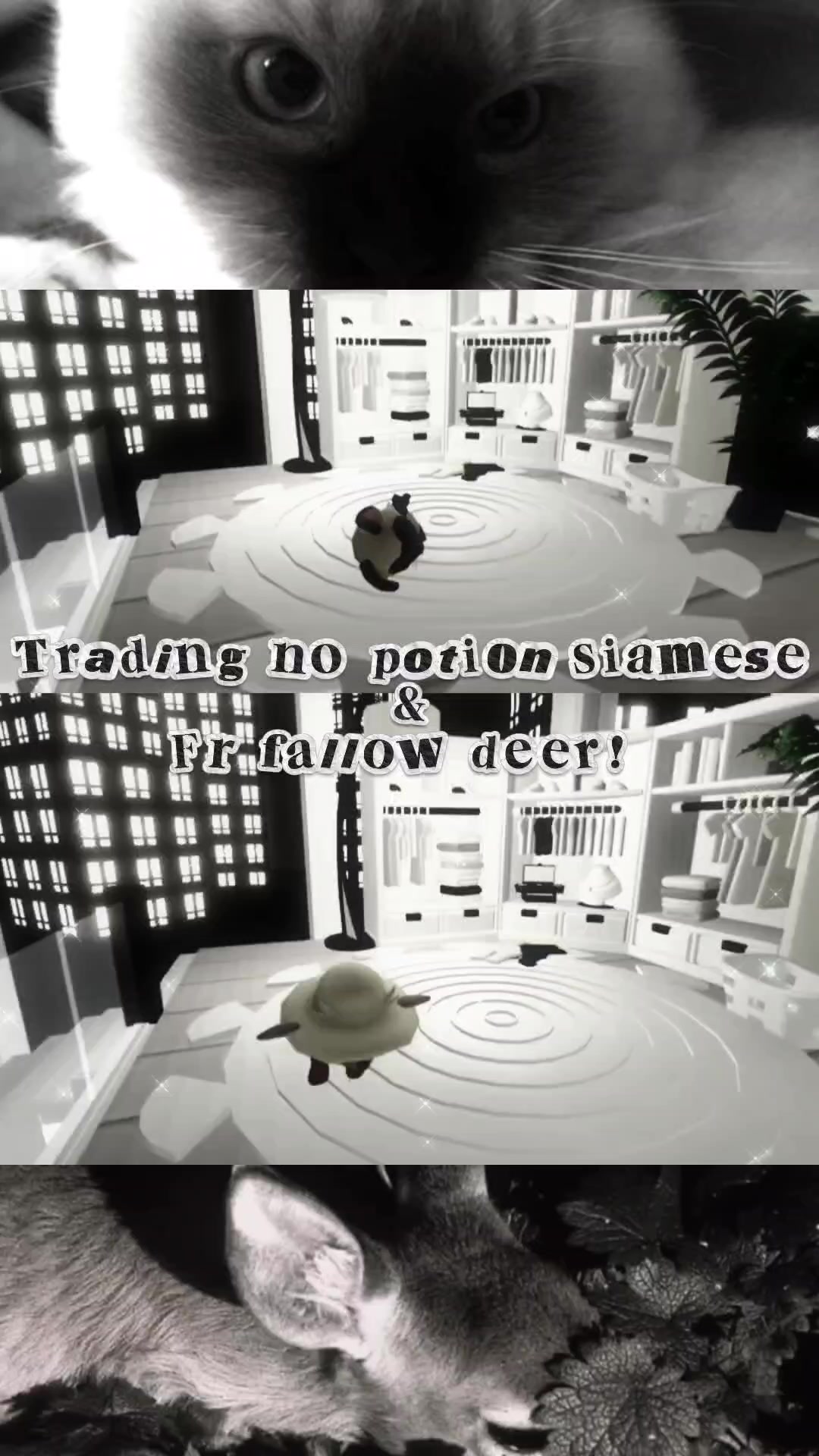 @꒰ঌѕє&iota;у&alpha;໒꒱