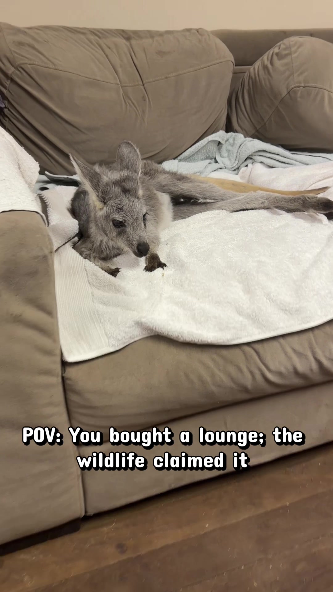 @Wildlife Empire Australia