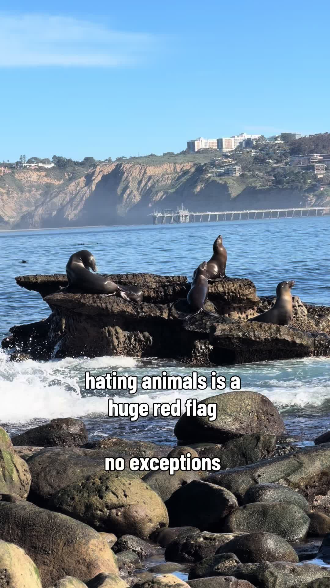 @just animals 🐾🦁🐬🦎