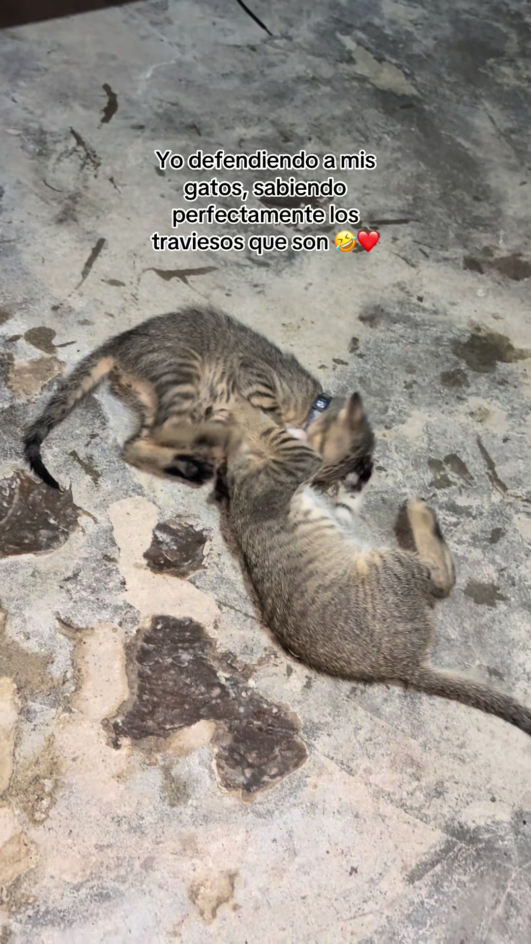 @ℭ𝔦𝔢𝔩𝔬 🍒
