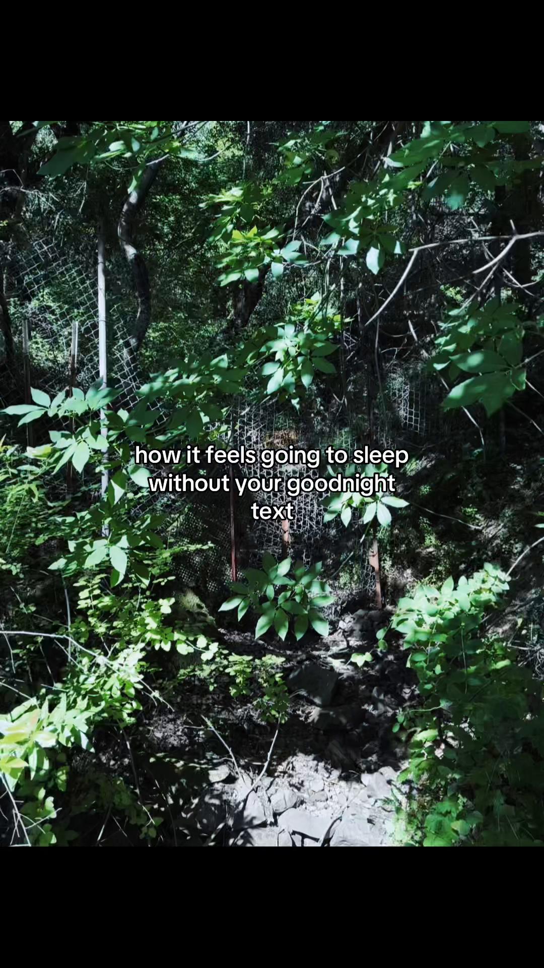 @ᴀᴜʙʀᴇʏꨄ