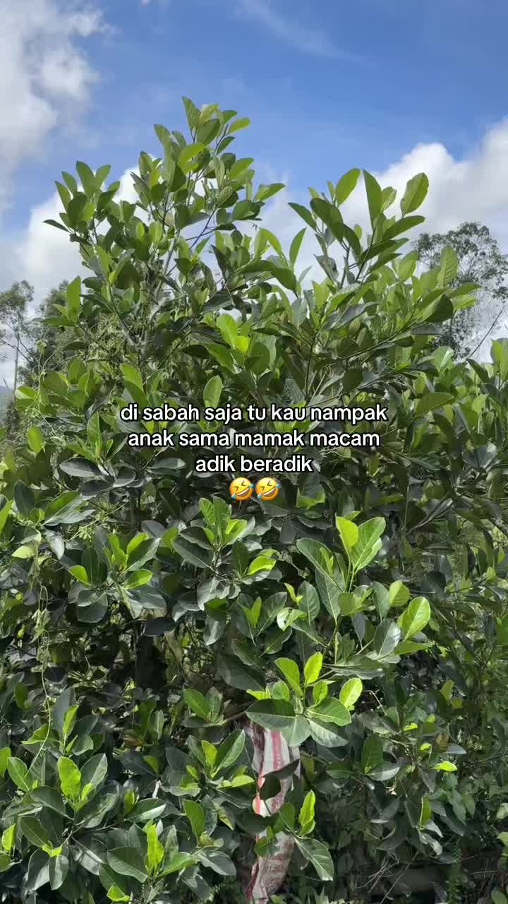 @shaaa&rdquo;🦋