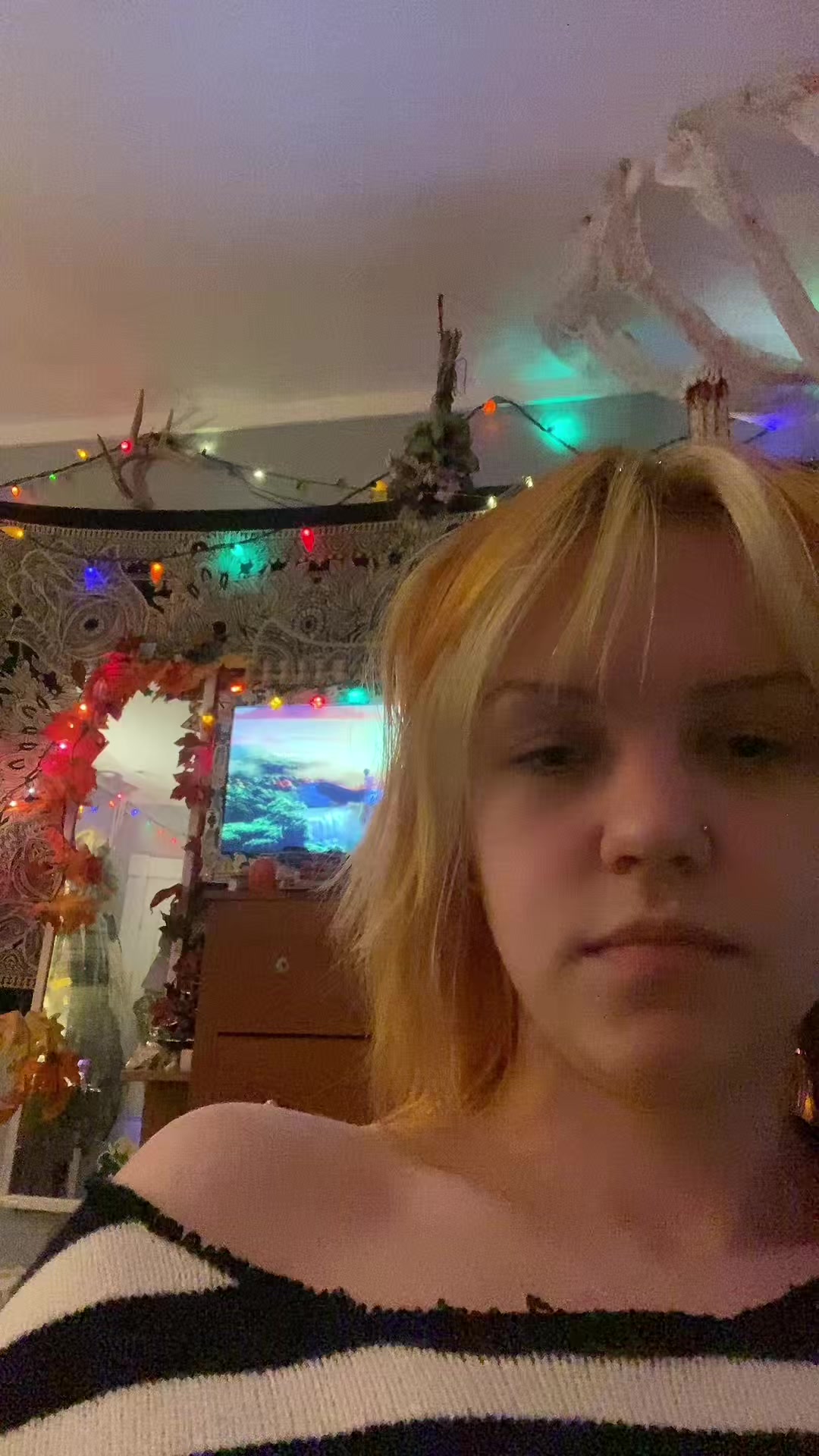 @dani