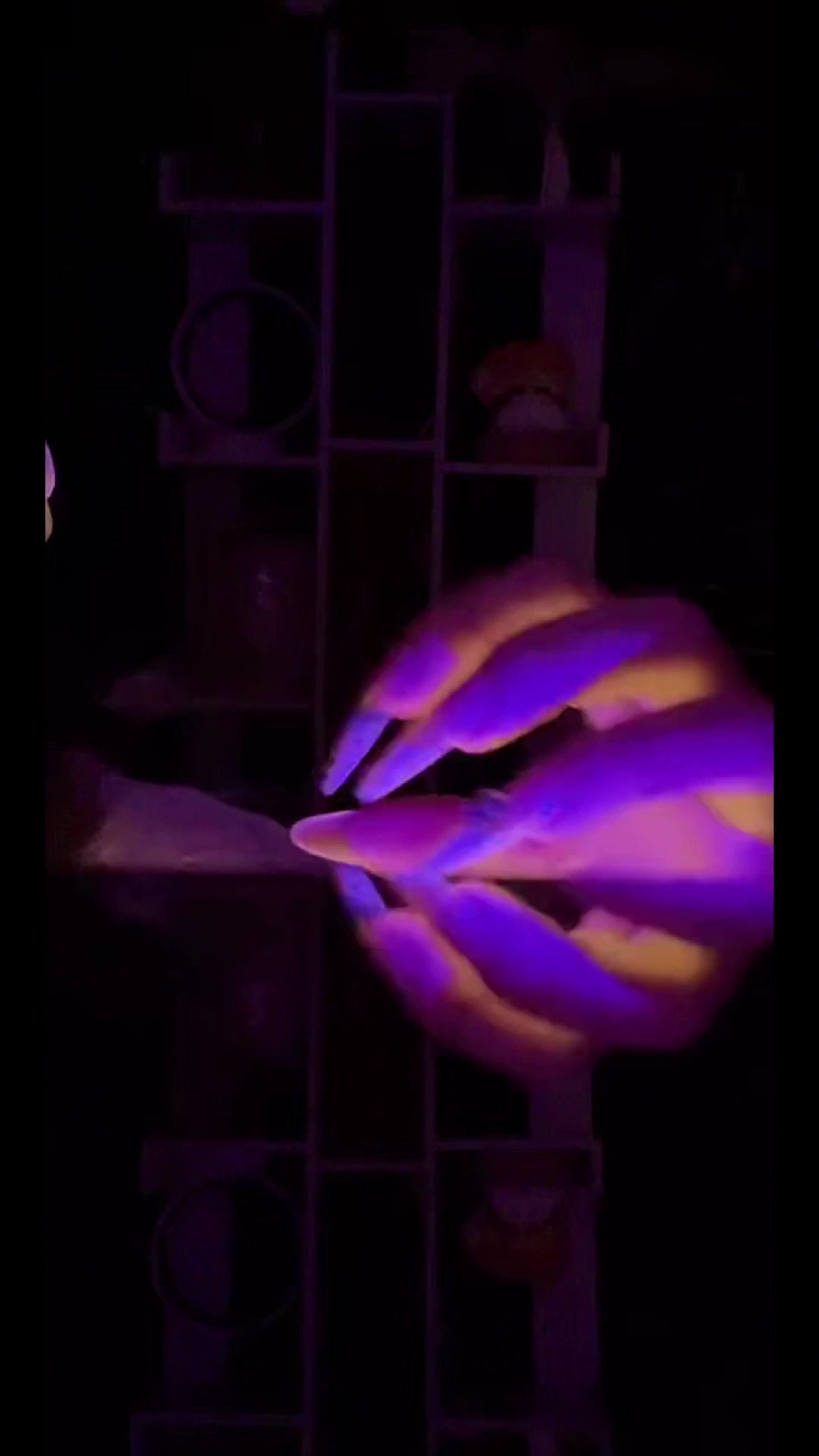 @🦋Dannie_ASMR_Room🦋