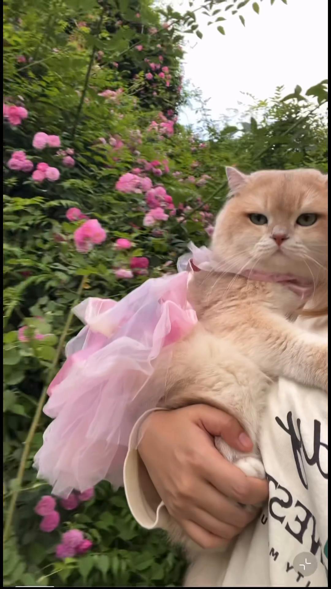 @My Daily Dose of Aww