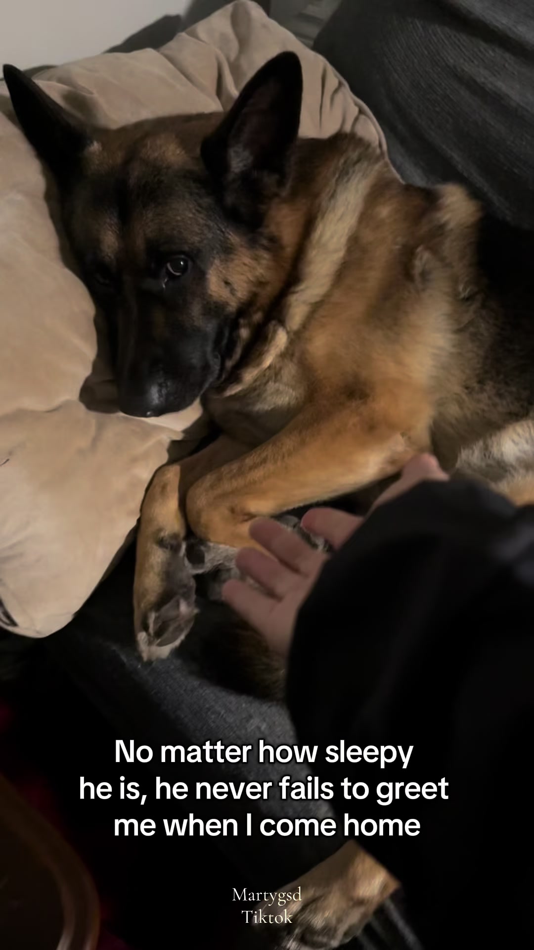 @Martygsd
