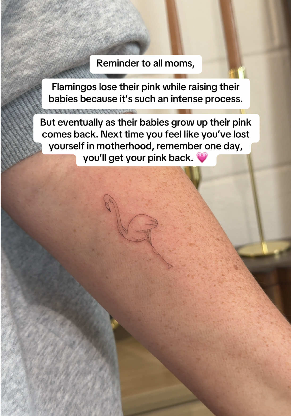 @Bella| Fine Lines &amp; Piercings