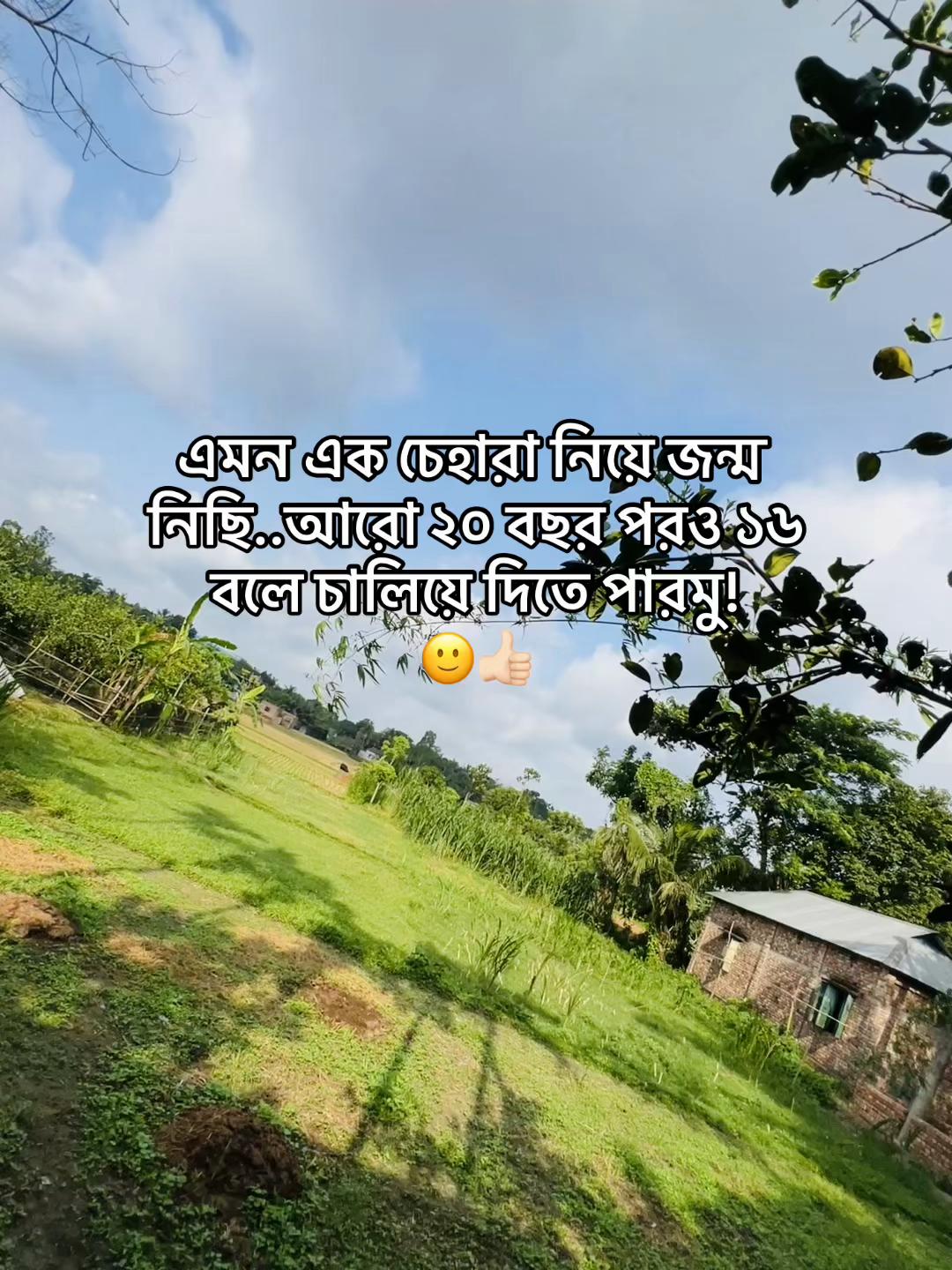 @টিক-টিকি