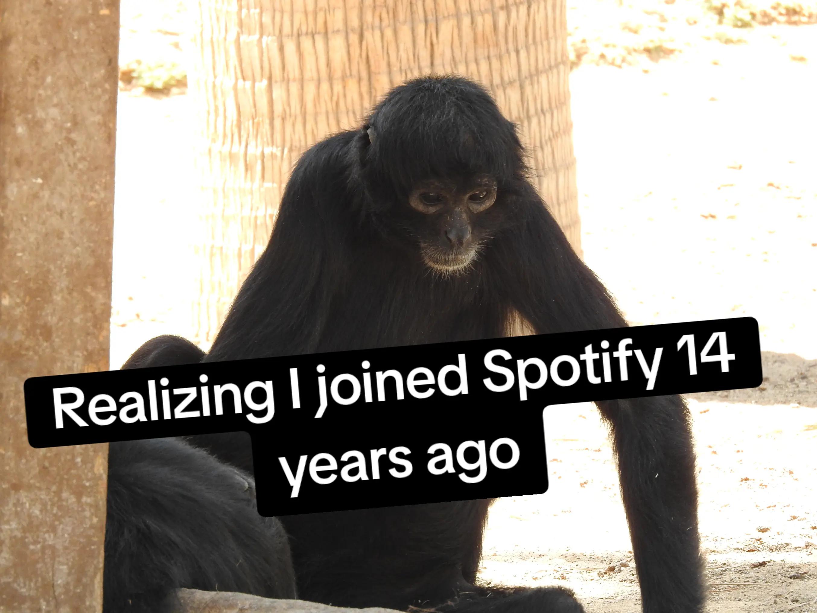 @Slothmymango