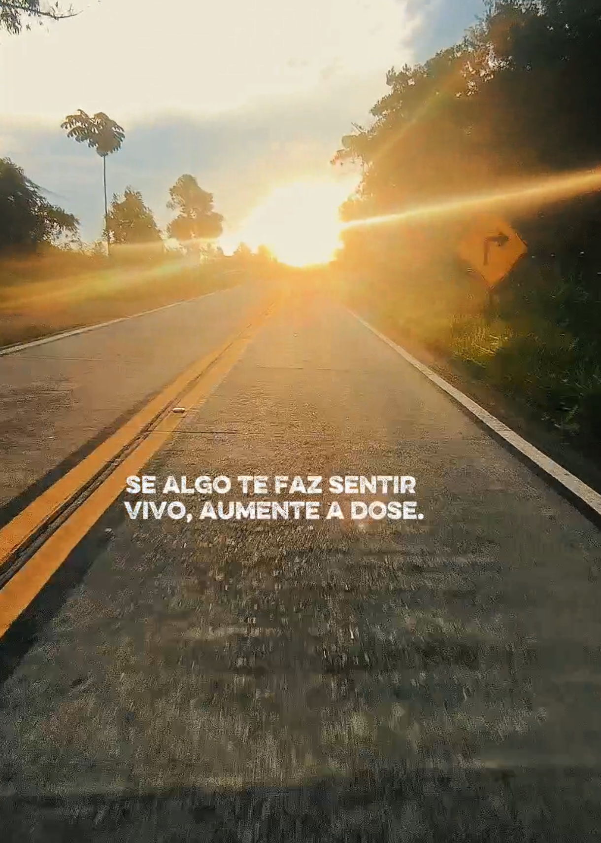 @Dayana Fonseca