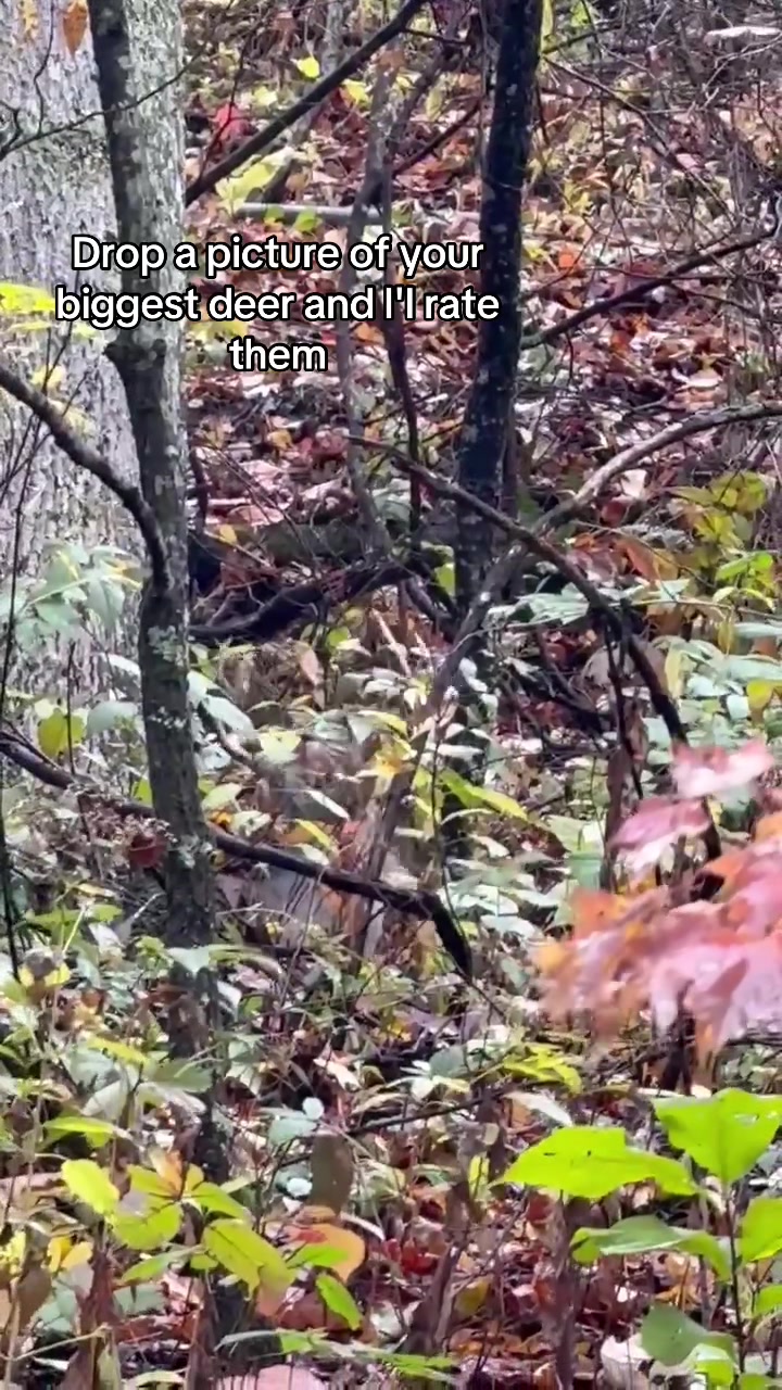 @kirkendolloutdoors