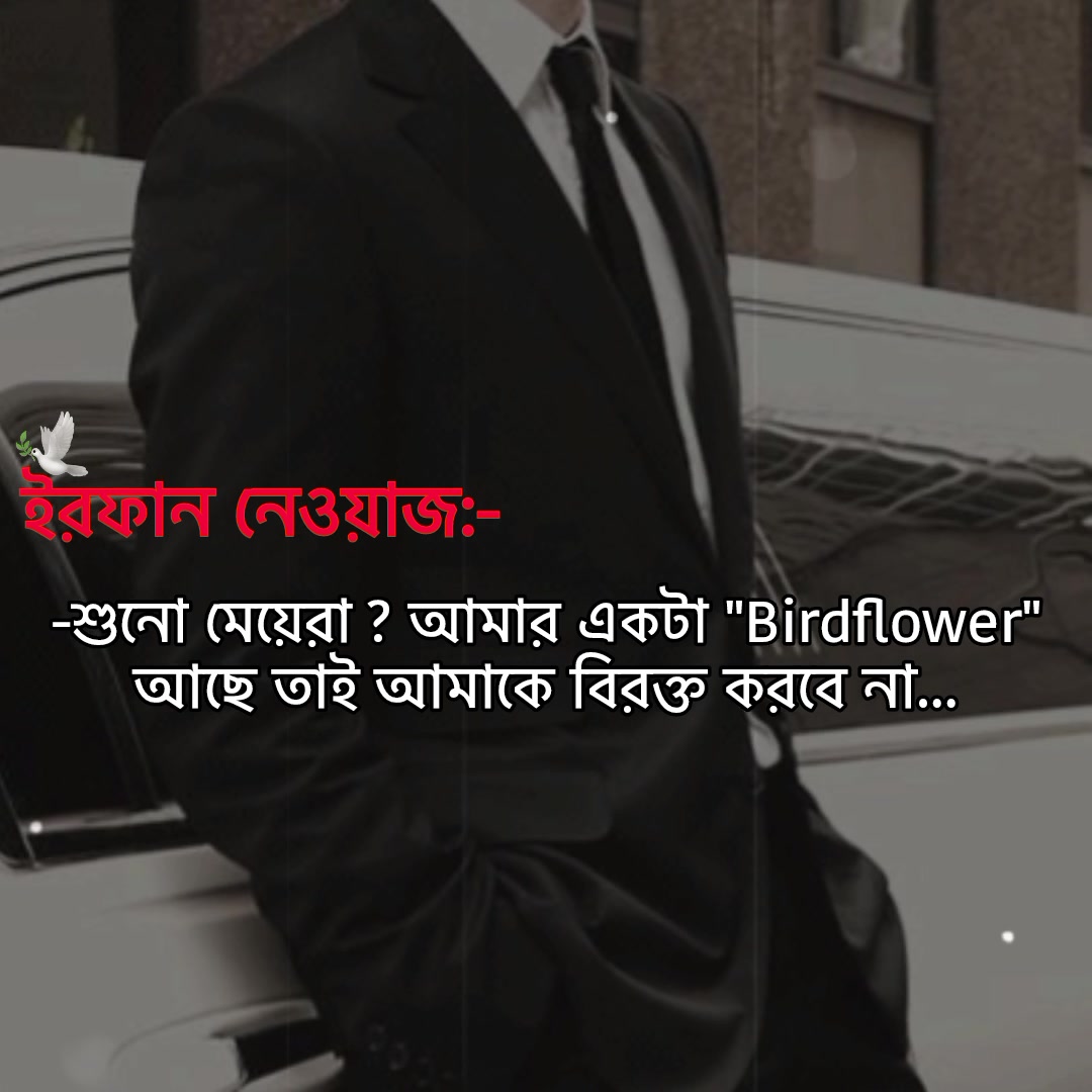 @ᯓ♢ᴀʏsʜᴀ⎯͢💦🌷