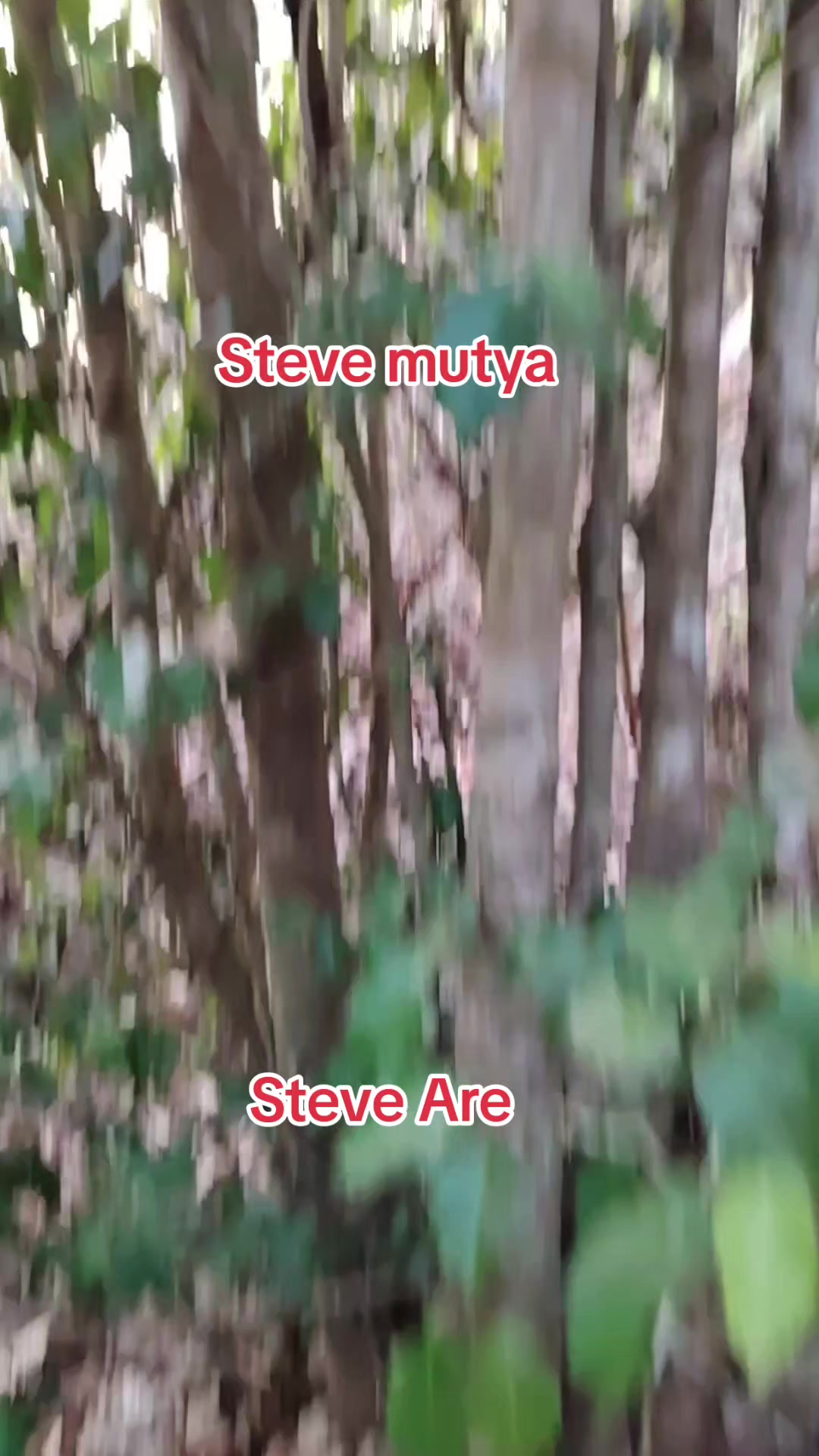 @Steve Mutya