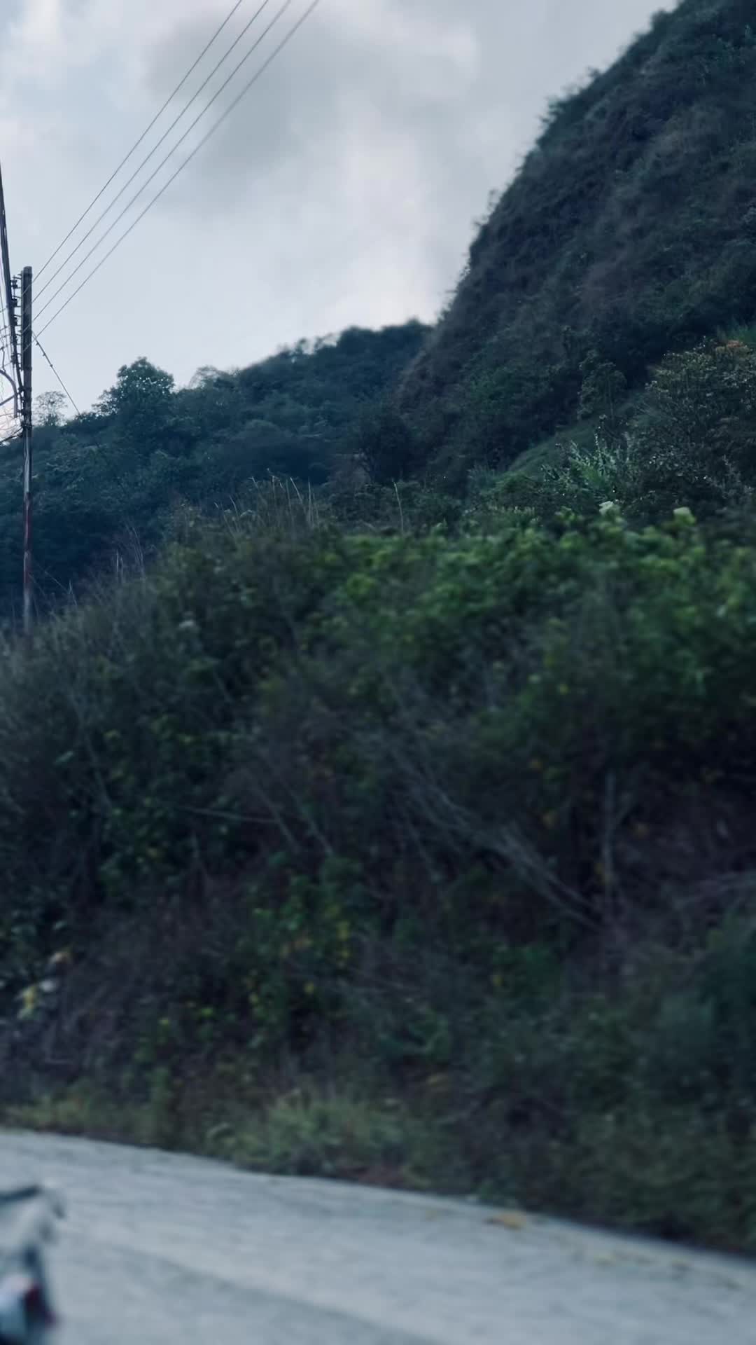 @𝓞𝓼𝓬𝓪𝓻  