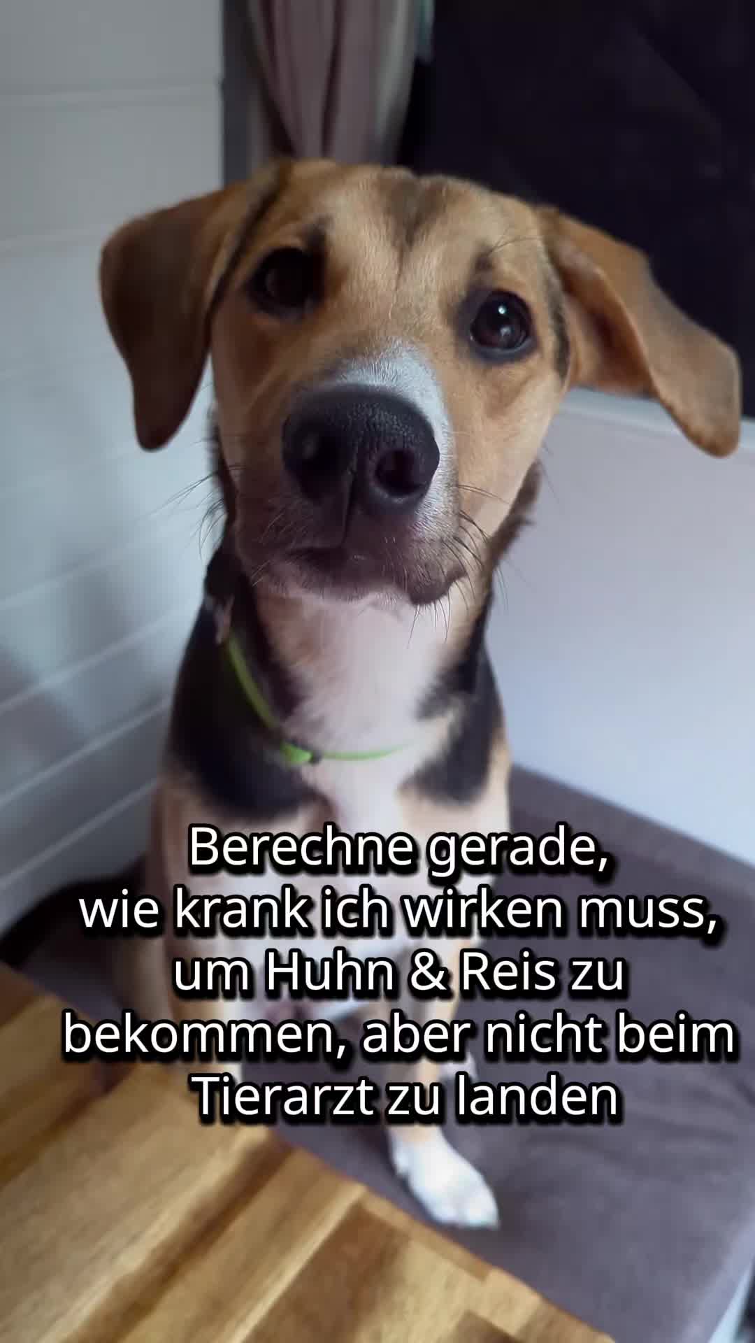 @ꪑⅈꪶꪖ ꪑꪮꪀᥴꫝꫝⅈᥴꫝⅈ