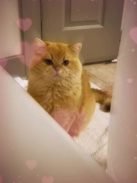 @VyyPilgrim72