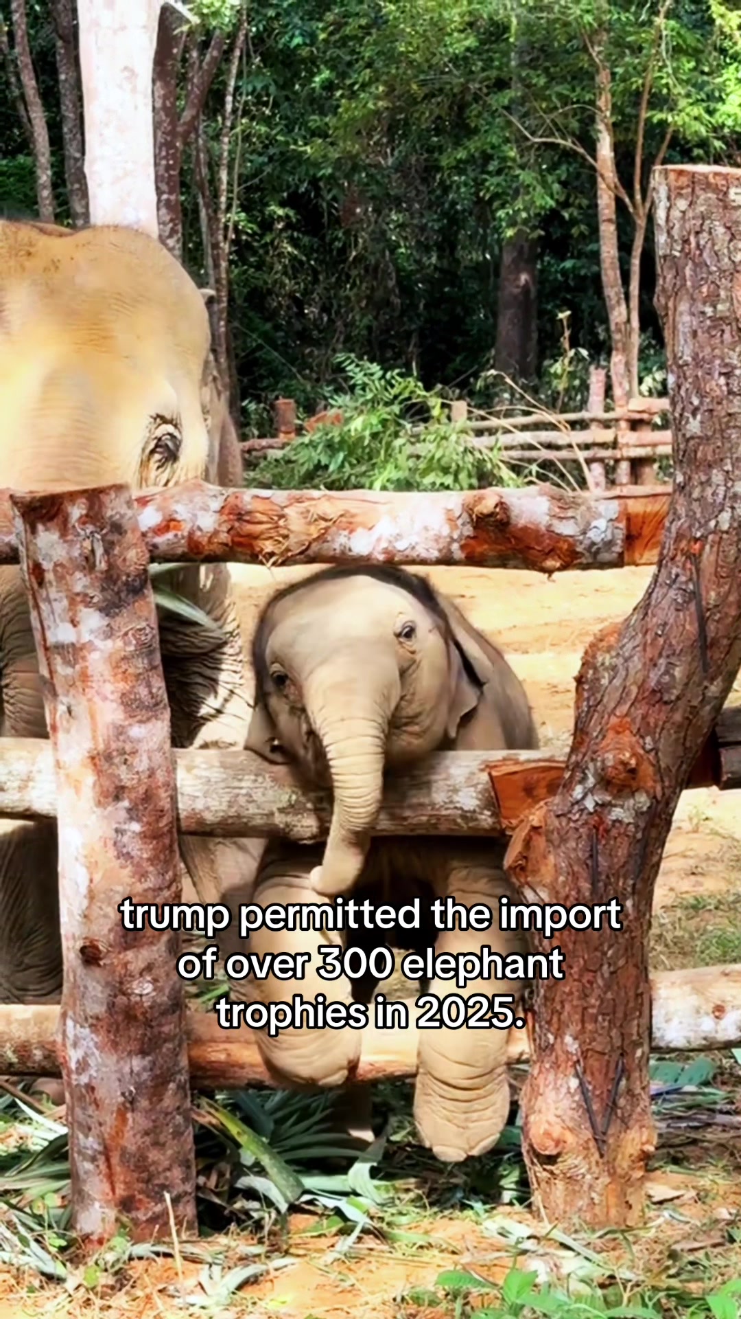 @Democrats