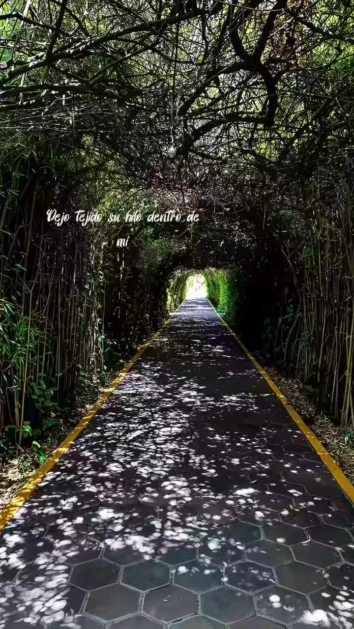 @🐝ܔܢܜܔ