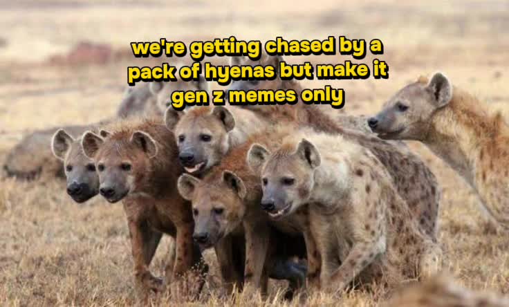 @AbrahamTheHyena