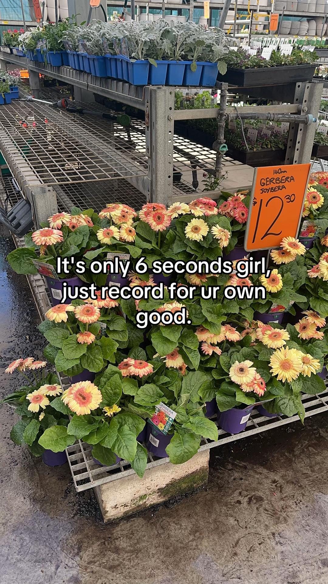 @Zaco Bro