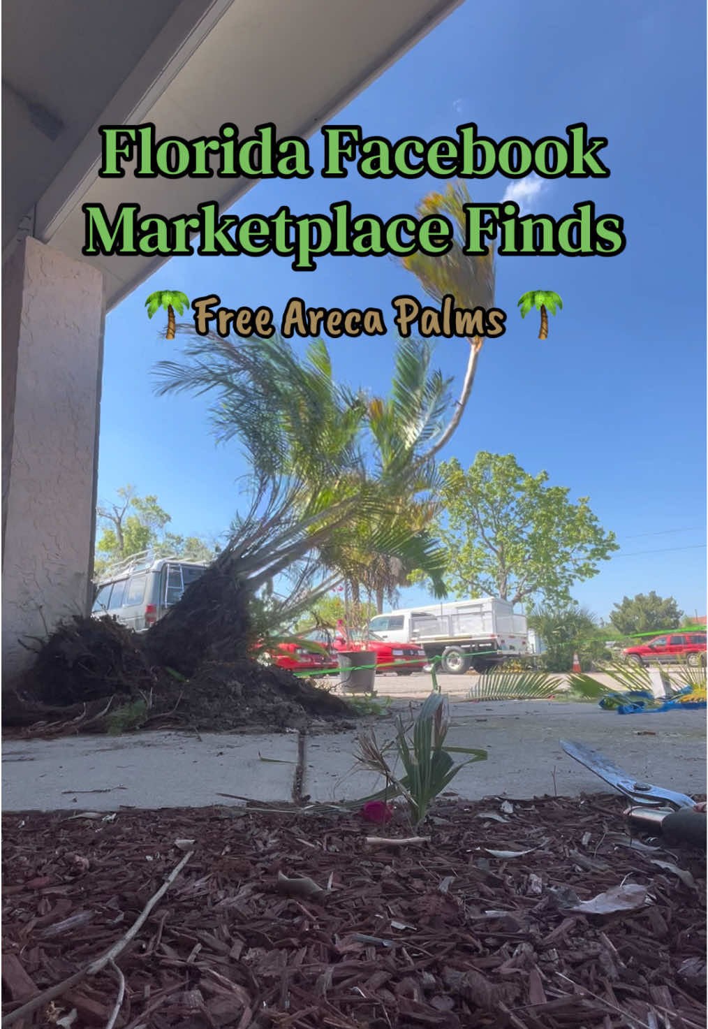 @St Pete Barter &amp; Trade