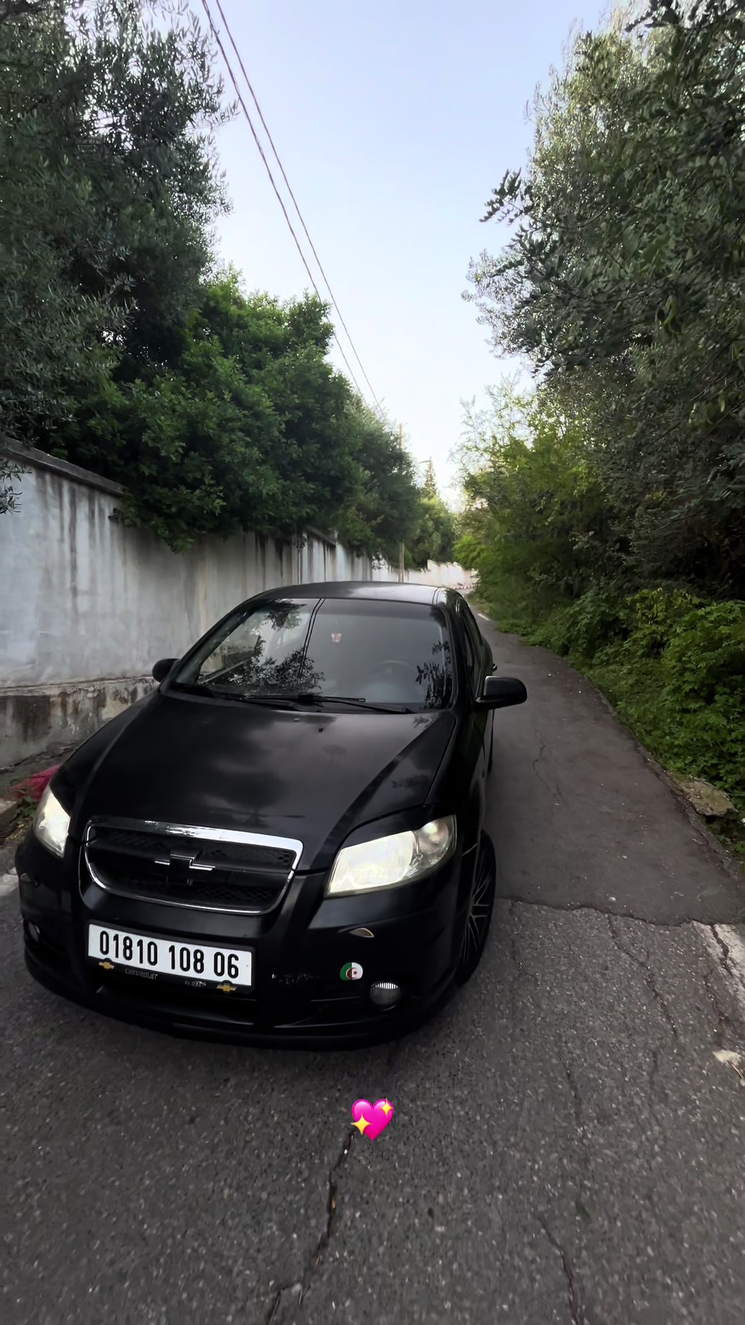 @&spades;️|||AVEO|||SS|||&spades;️