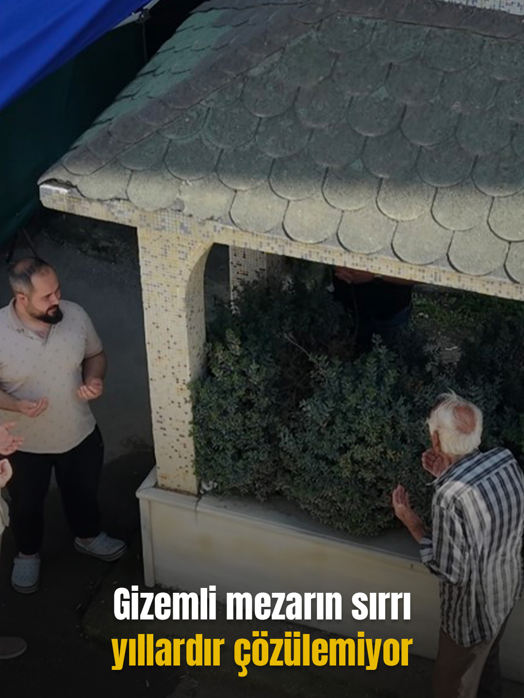 @Mynet