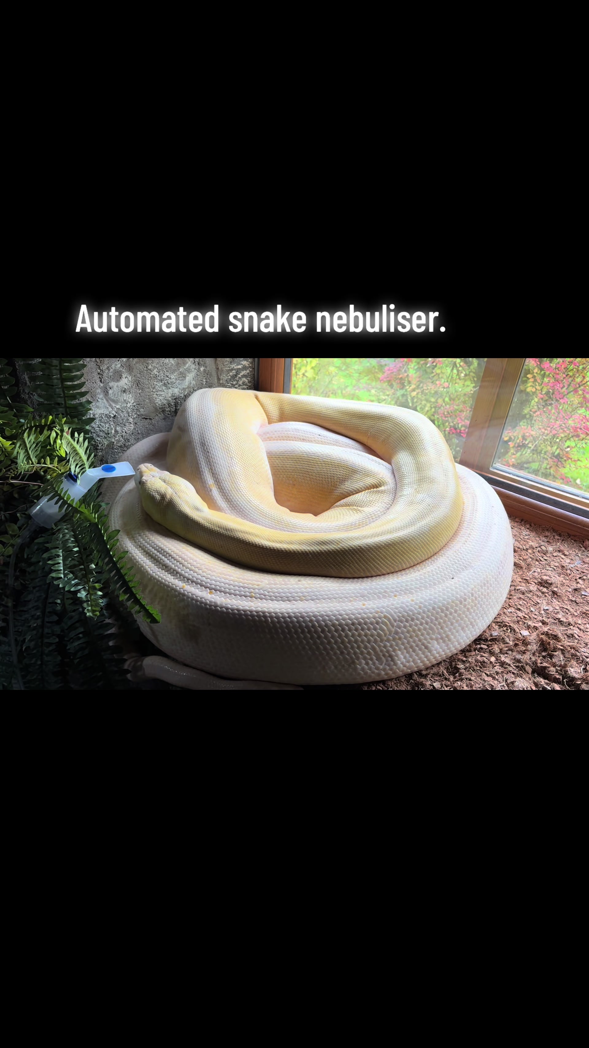 @SonnyCherRetics