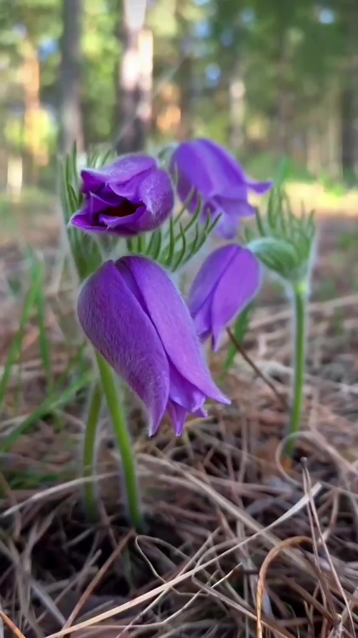@Мара❄️