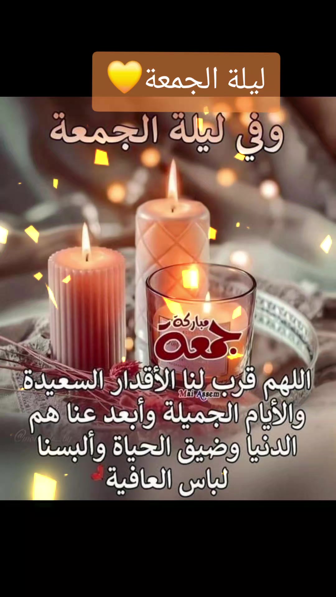@حديقة الورد🌷🌷