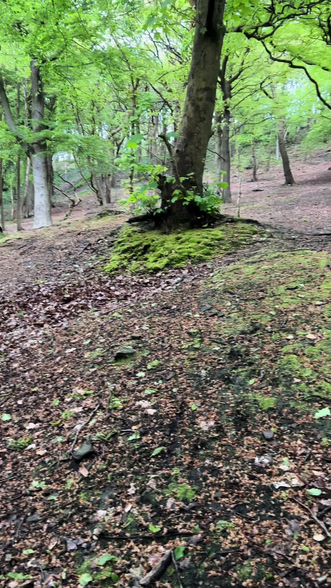 @AUSTIN_831🤠🇬🇧🏴󠁧󠁢󠁥󠁮󠁧󠁿