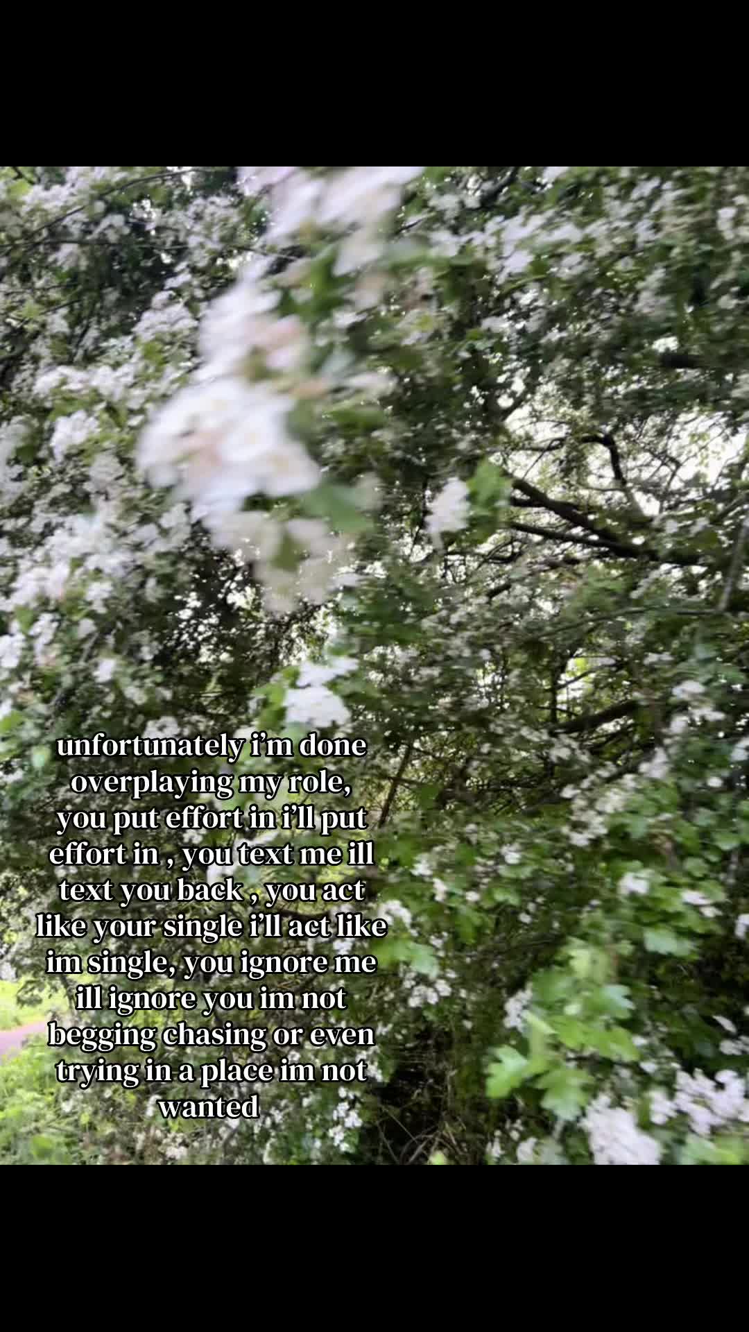 @𝐞𝐯𝐢𝐞✞