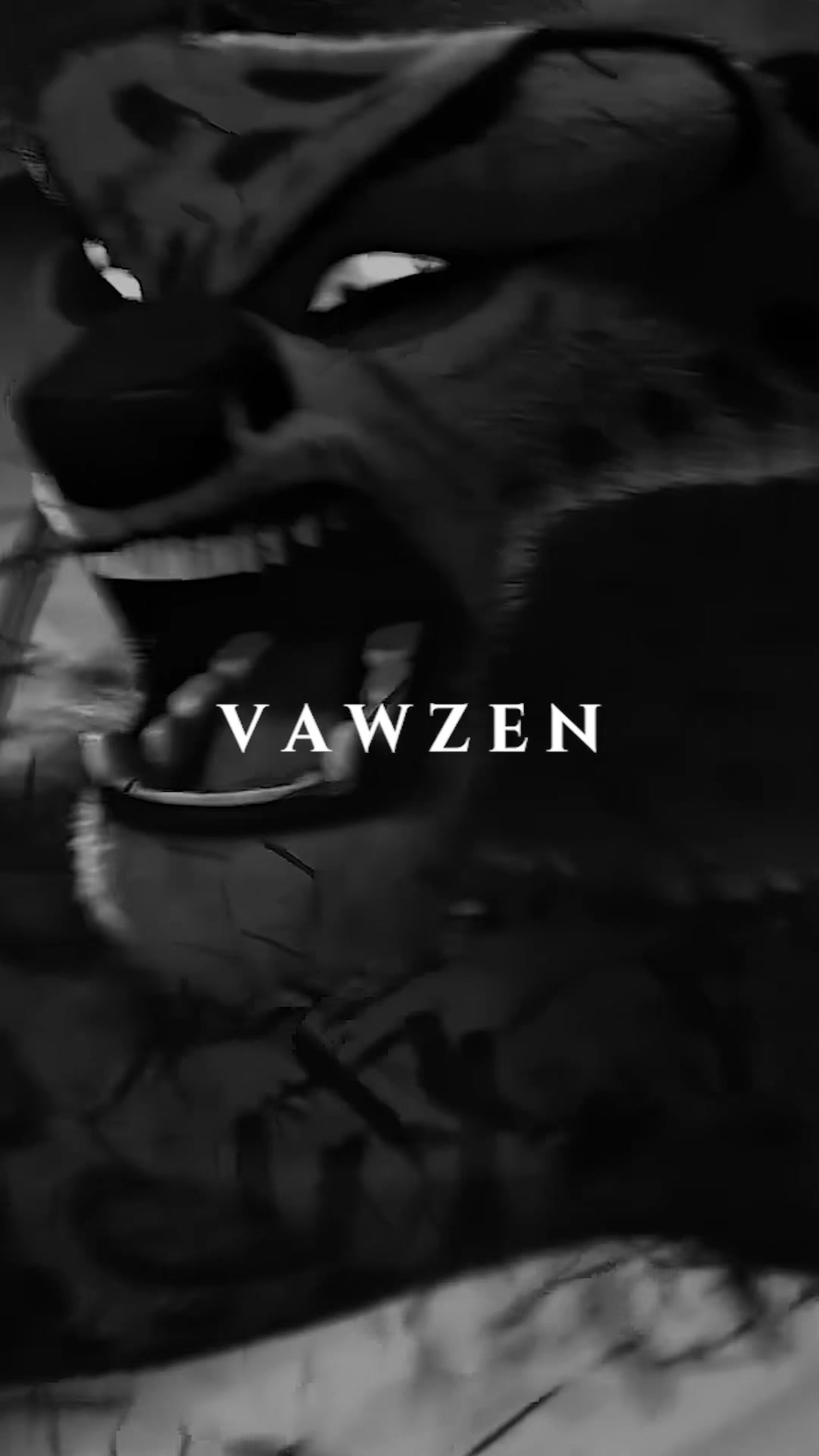 @Vawzen