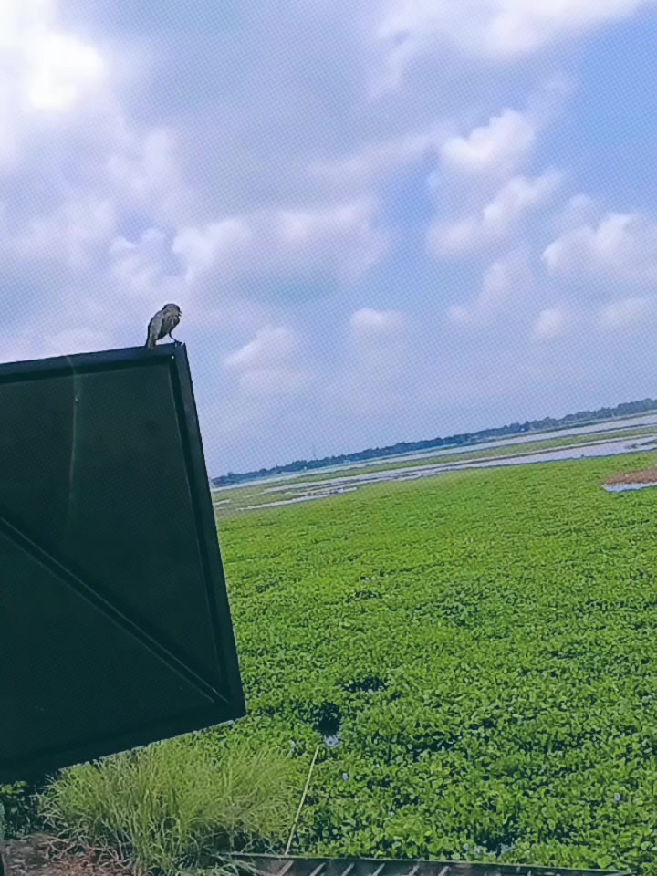 @রাত জাগা মেয়ে ❤️🕋🤲🇸🇦✈️