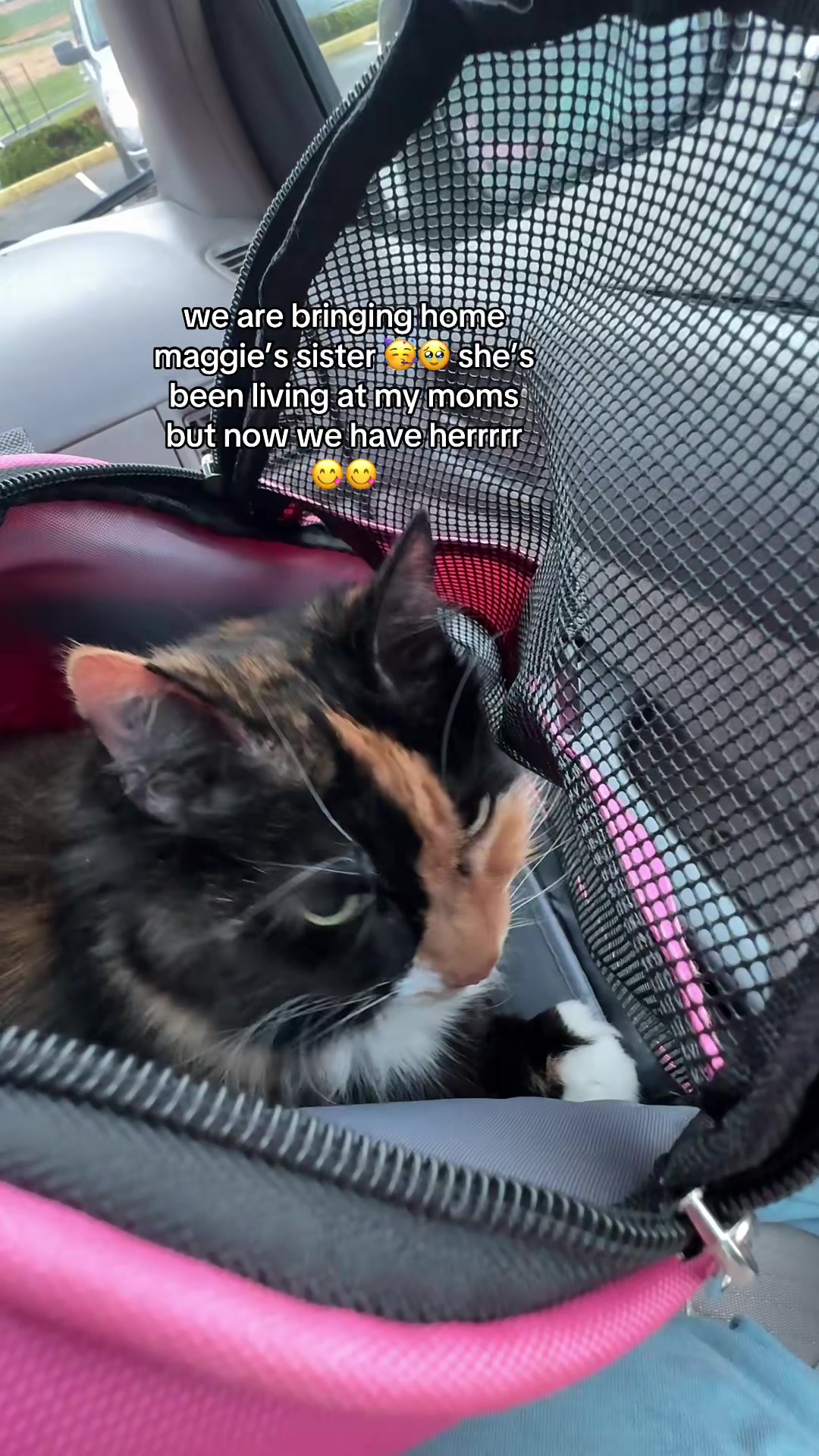 @bug