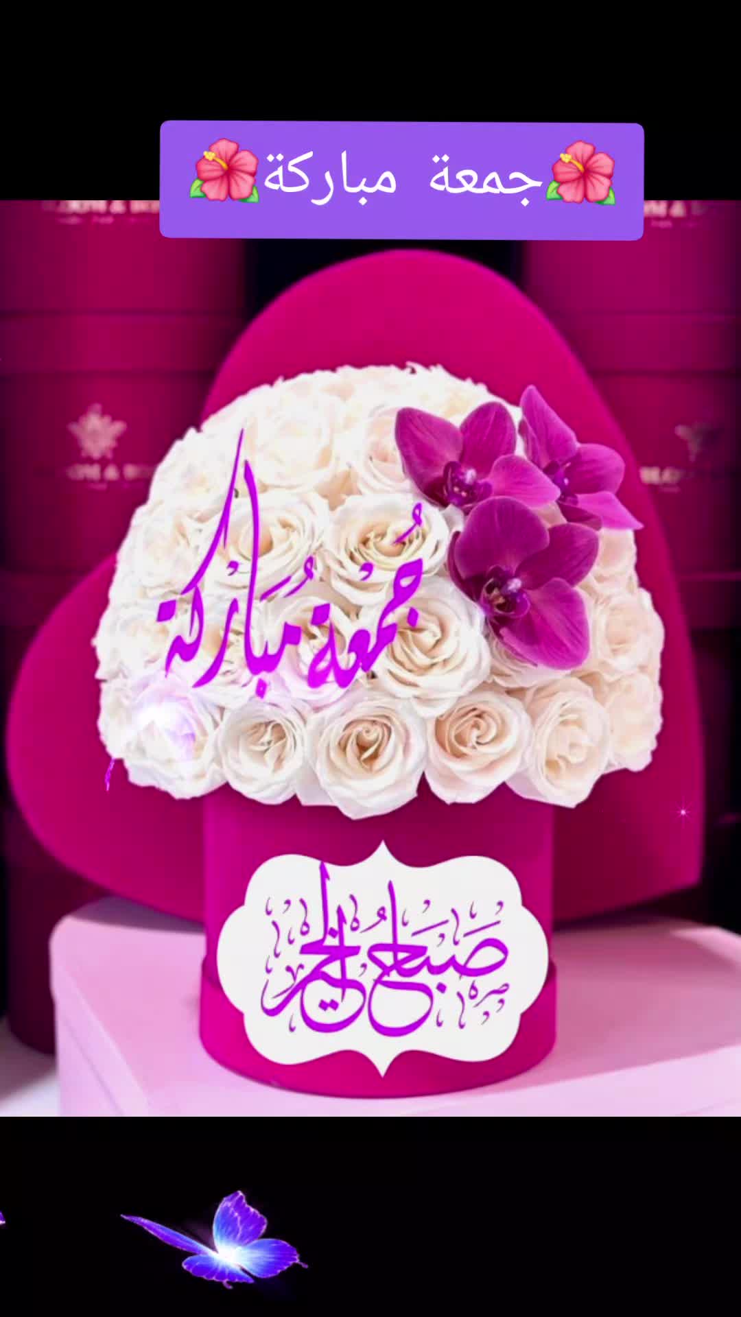 @حديقة الورد🌷🌷