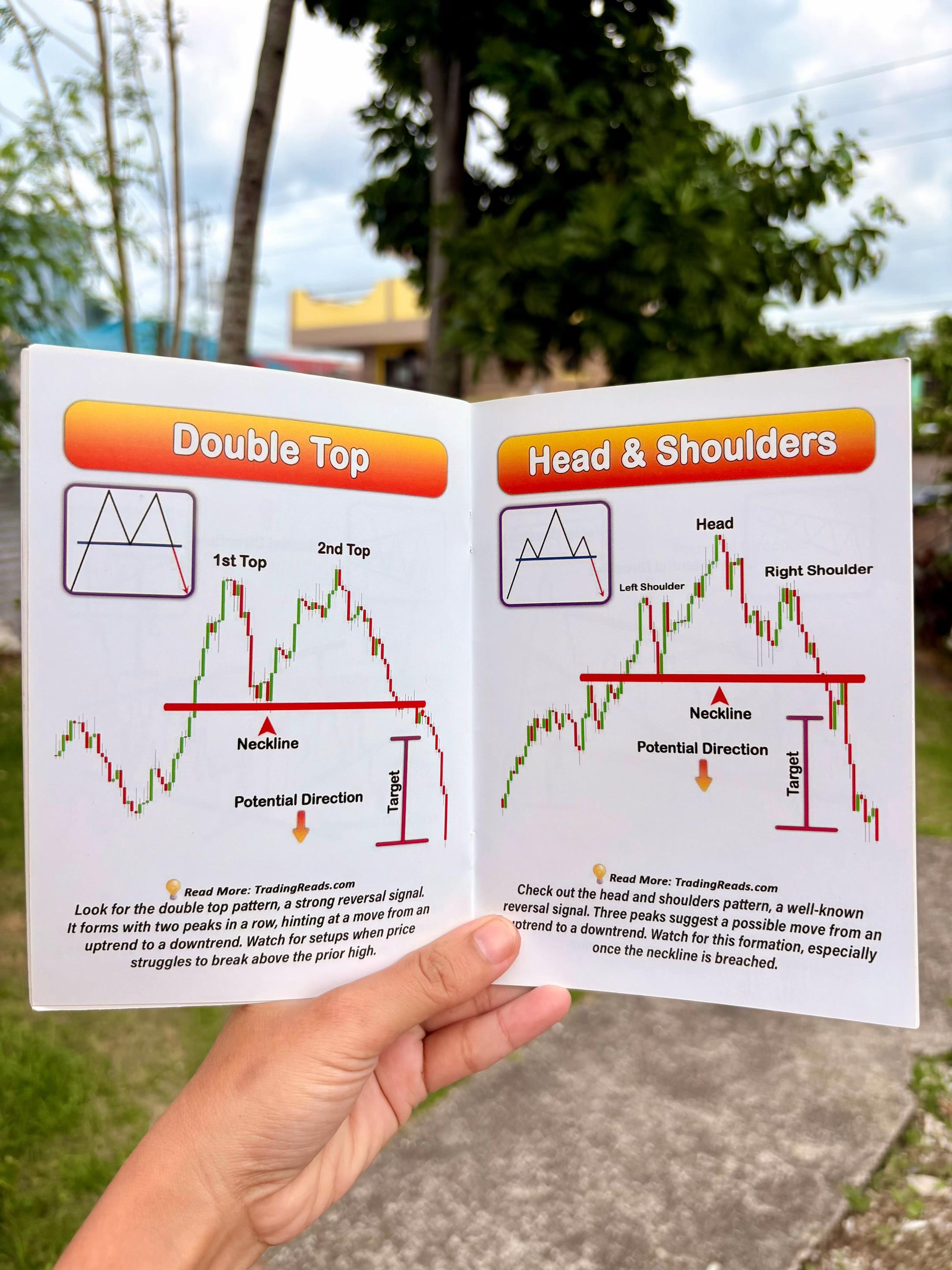 @TheSillyTrader