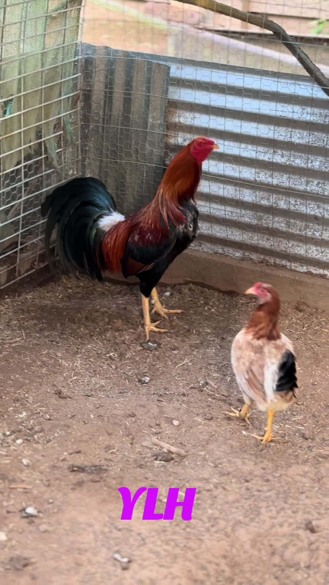 @Bryan Gamefarm