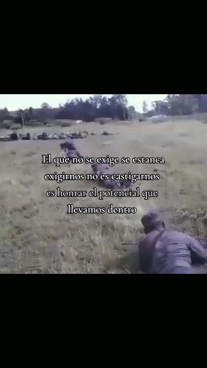 @special forces element