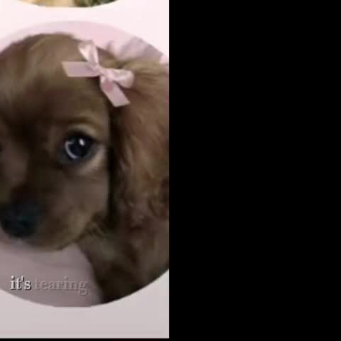@Arianna