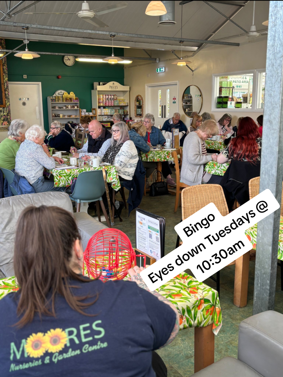 @Moores Nurseries