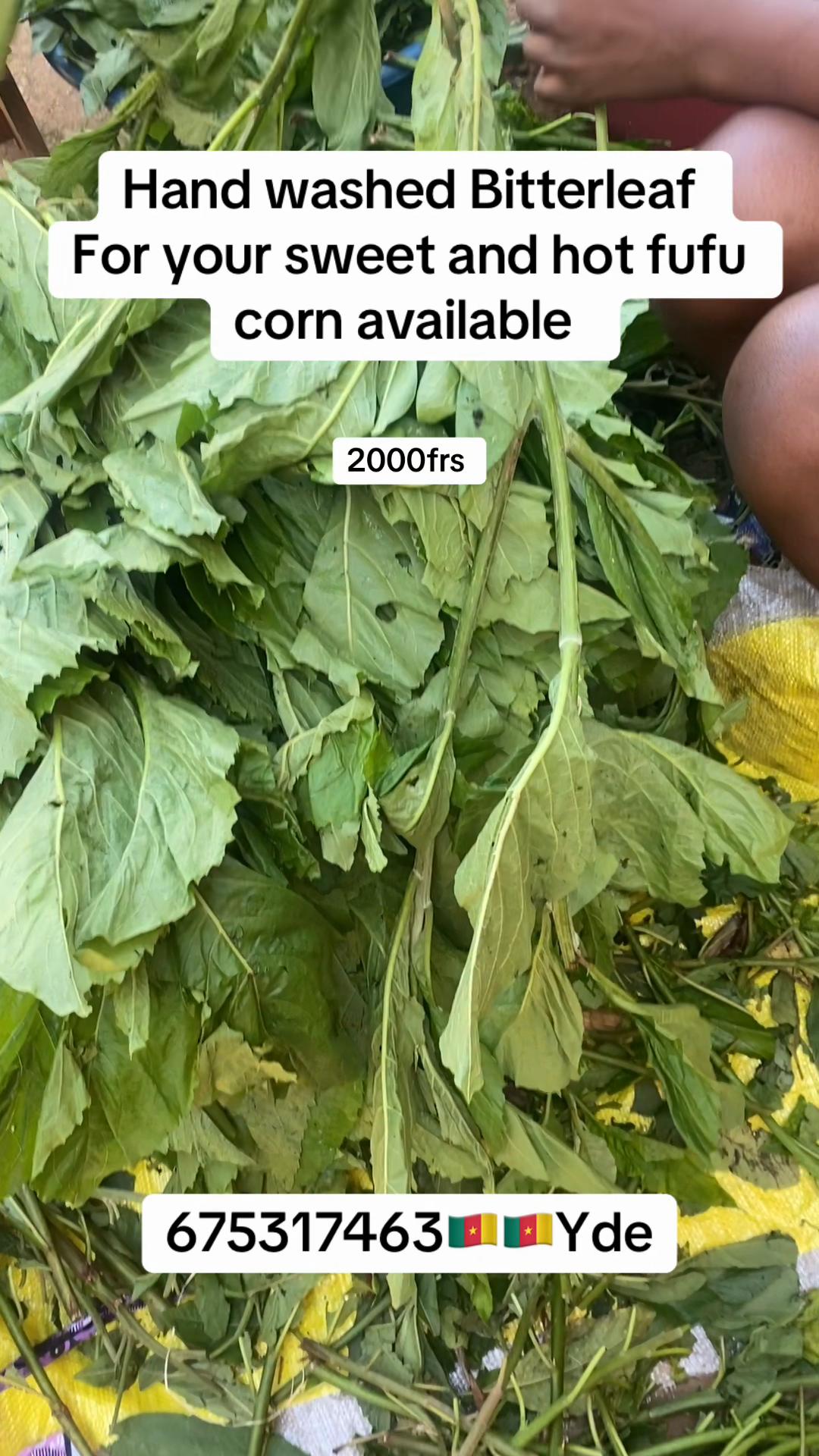 @Chanz&rsquo;s Africanfood supply🇨🇲